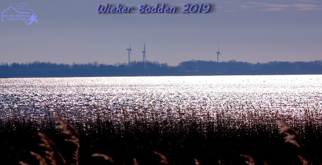 natur gewinnspiele einsendeschlus februar 2019 natur gewinnspiele einsendeschlus februar 2019