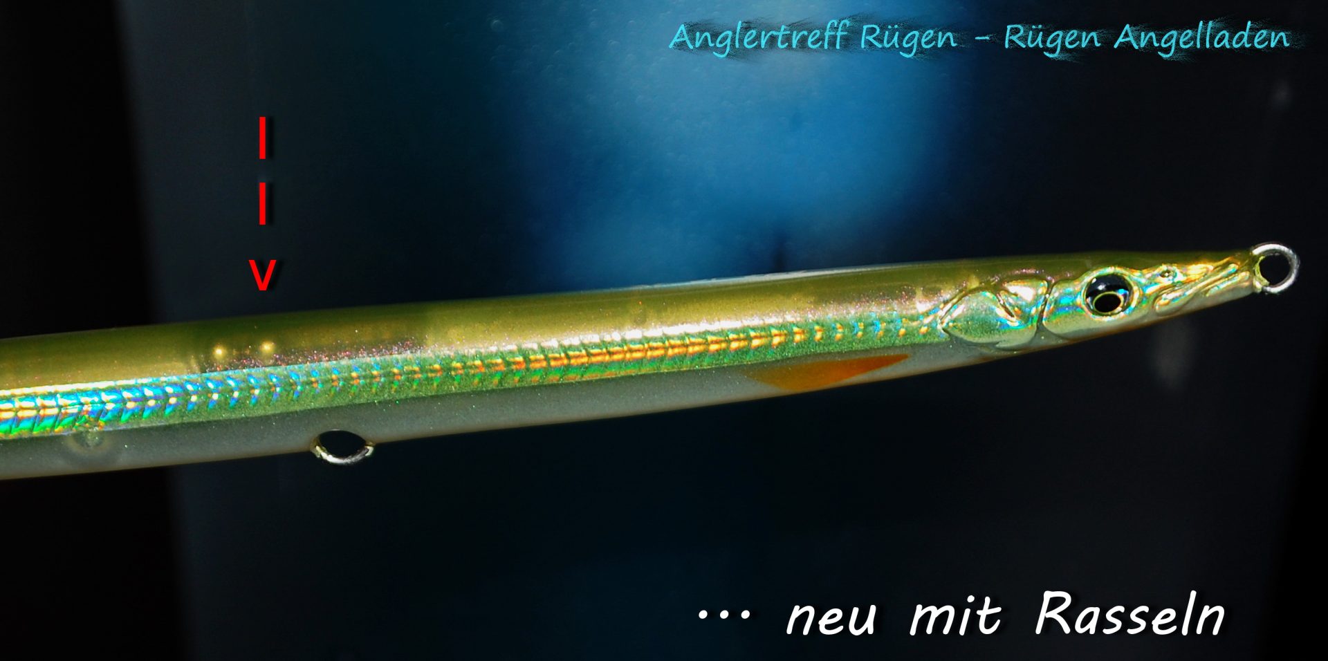 Meerforellen Hornhecht Blinker - Kder - Anglertreff Rgen